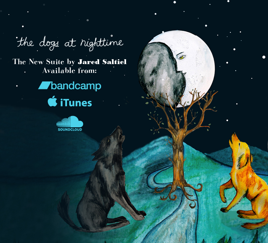 the dogs at nighttime